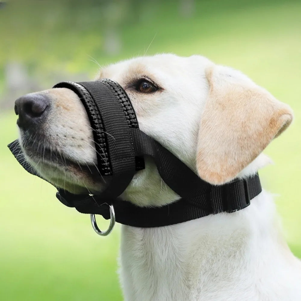 A white dog wearing a black adjustable muzzle for anti-biting and barking control.