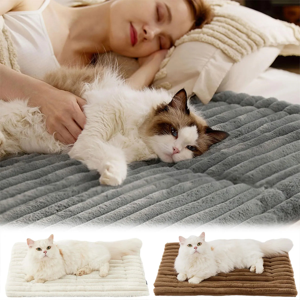 A white cat is lying on a gray pet mat, next to a person sleeping in bed.
