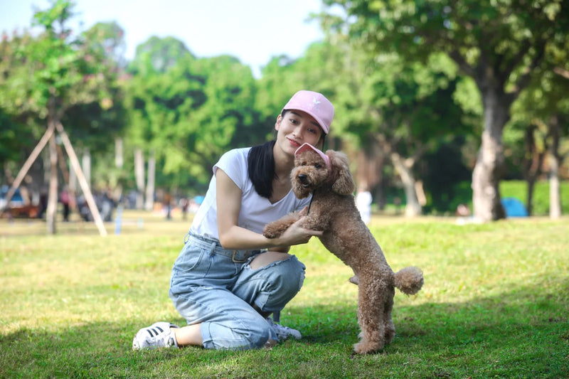 Gorra de Béisbol Ajustable para Perros