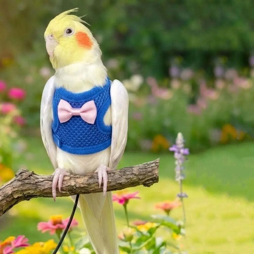 A yellow and white parrot wearing a blue harness with a pink bow perched on a branch in a garden setting.