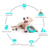 Un perro de color claro interactuando con un disco volador dispensador de premios interactivo, ilustrado en un diagrama circu