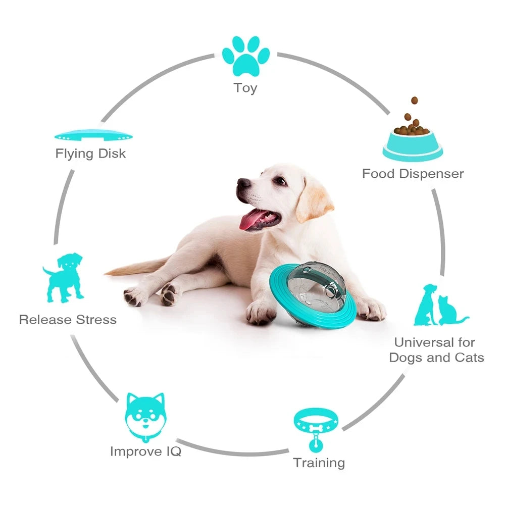 Un perro de color claro interactuando con un disco volador dispensador de premios interactivo, ilustrado en un diagrama circu