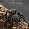 A dark, hairy spider is positioned on a rough piece of wood, demonstrating the clarity of an acrylic case.