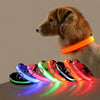 LED-Sicherheits-Hundeleine und Halsband-Set