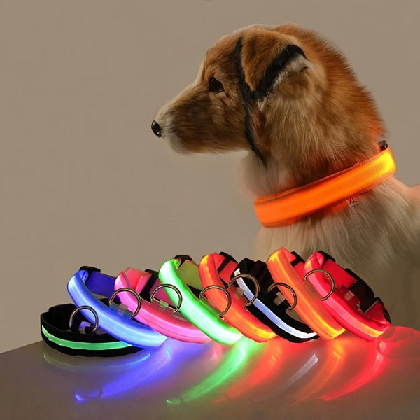 Ensemble de Laisse et Collier LED pour Chien