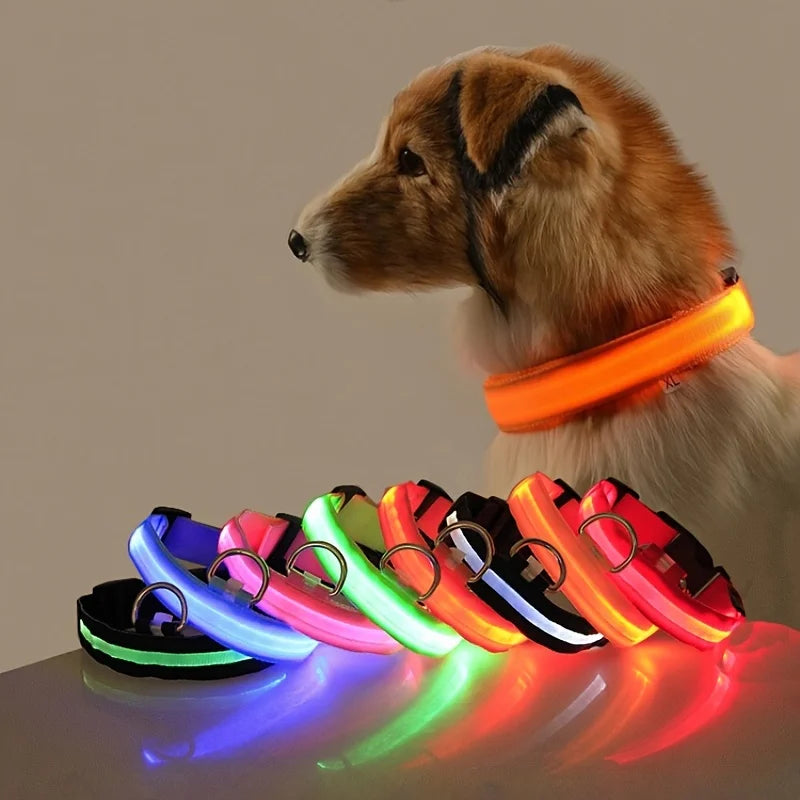 LED-Sicherheits-Hundeleine und Halsband-Set