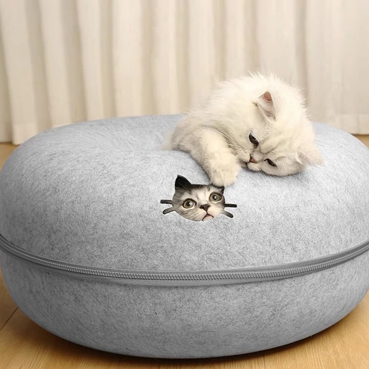 A fluffy white kitten is resting on a gray felt cat bed, looking directly at the camera.