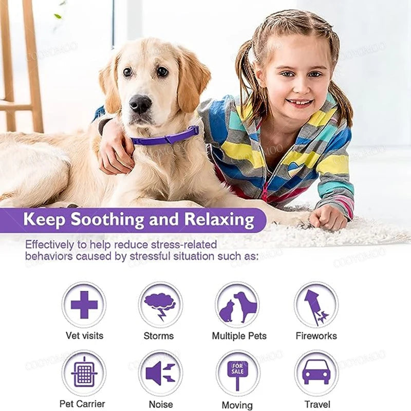 A young girl is holding a golden retriever while a dog lies down, with icons showing situations like vet visits, storms, fire