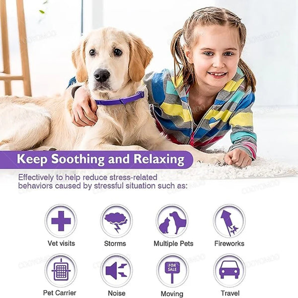 A young girl is holding a golden retriever while a dog lies down, with icons showing situations like vet visits, storms, fire
