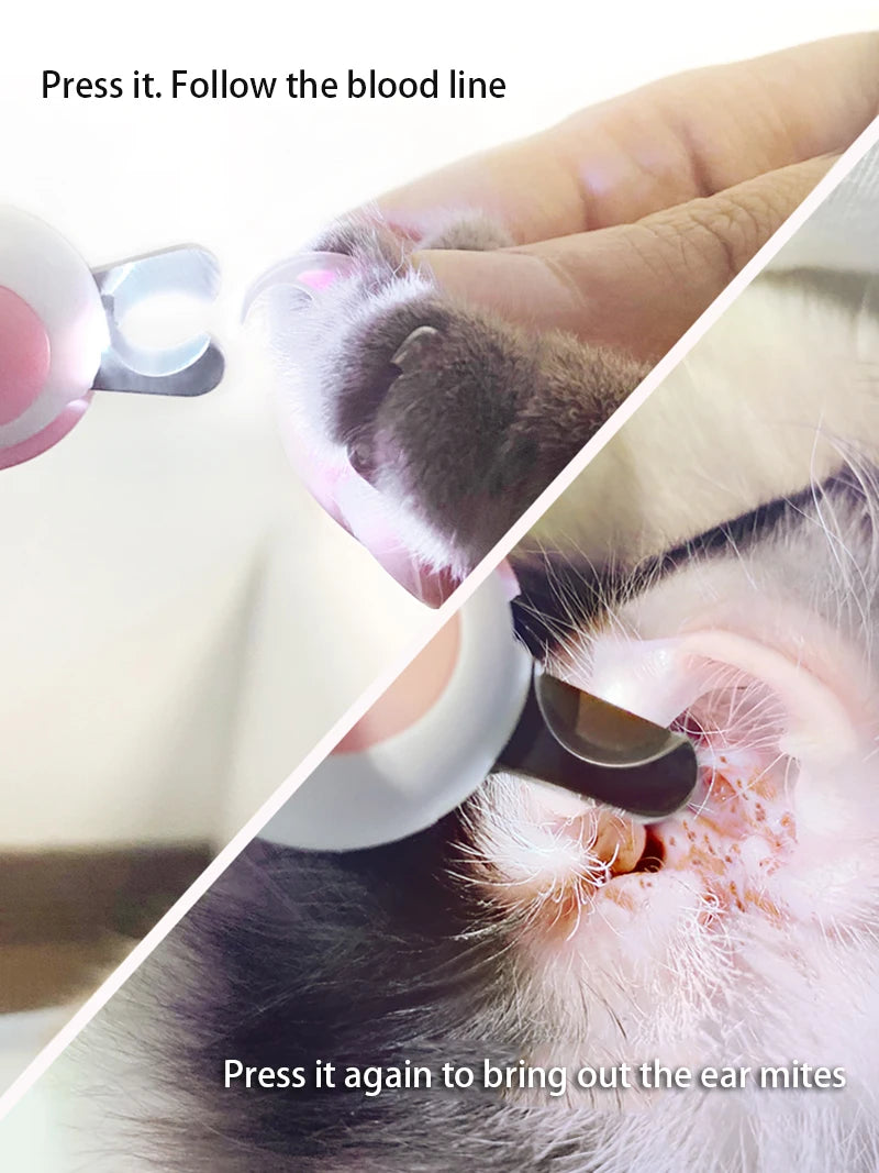 Eine Hand drückt eine LED-Nagelschere auf das Ohr einer Katze, um Milben zu entfernen.
