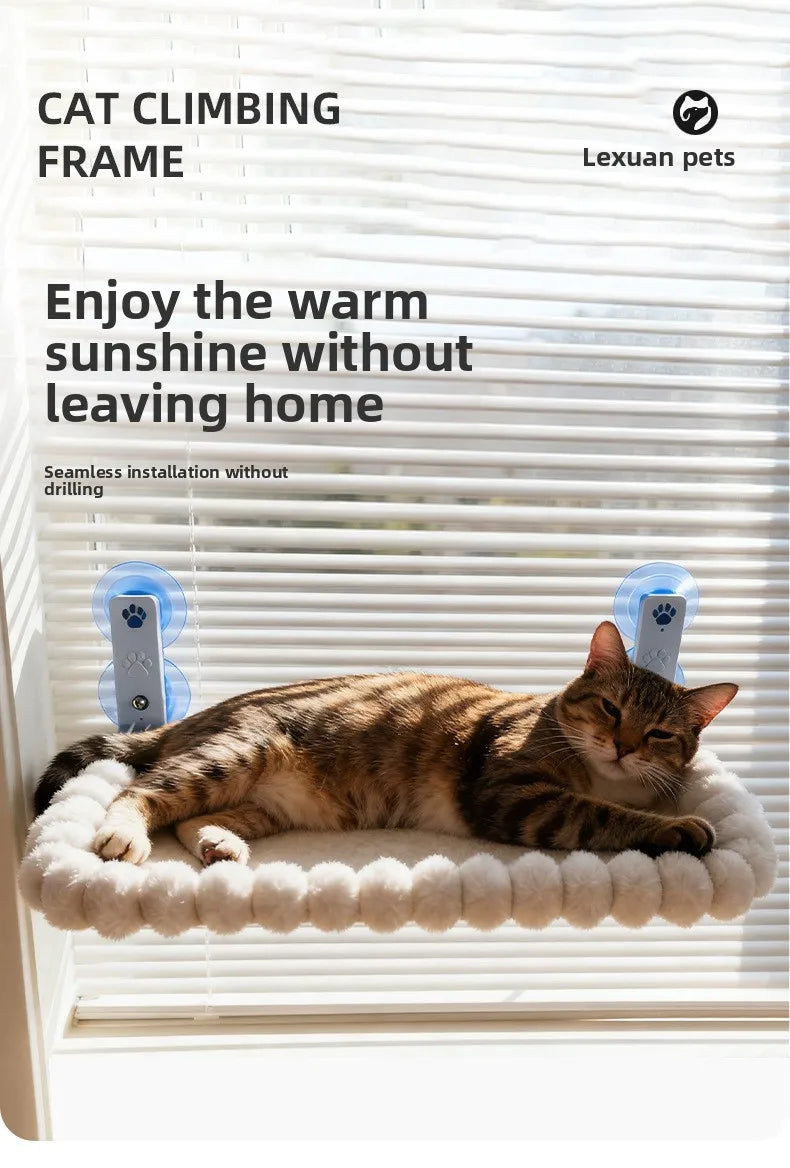 A tabby cat relaxing on a fluffy white perch installed in a window using a cat climbing frame.