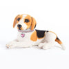 Love Water Drop Diamond Pet Necklace for Cats and Dogs