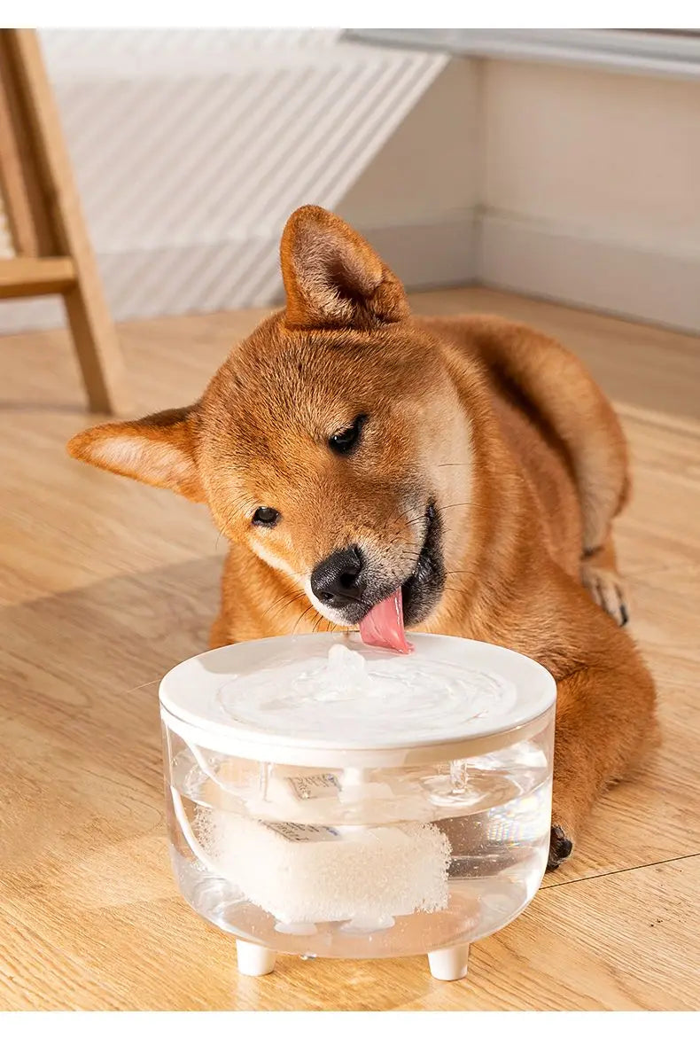 نافورة ماء USB كهربائية للحيوانات الأليفة بسعة 1 لتر مع فلتر