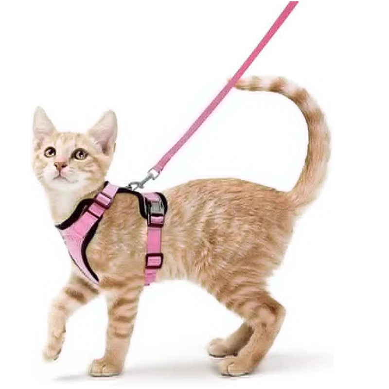Ausbruchssicherer Katzengeschirr mit Leine