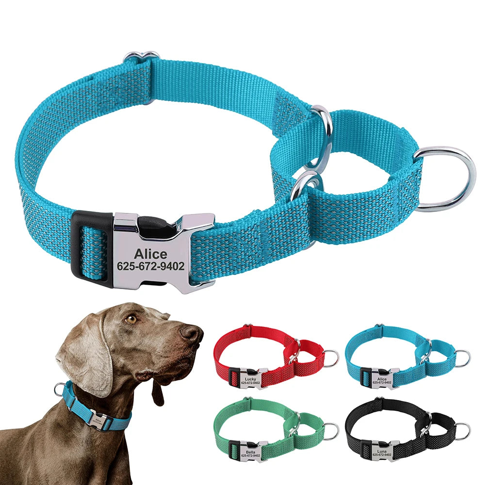 A collection of blue and black dog collars, including a wide nylon collar with a silver buckle and several other colored coll