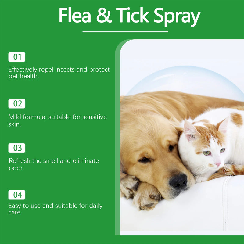 Mite Removal Spray for Cats and Dogs - Flea Killer & Tick Relief