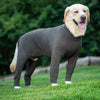 Cartoon Print Cotton Pajamas for Medium and Large Dogs
