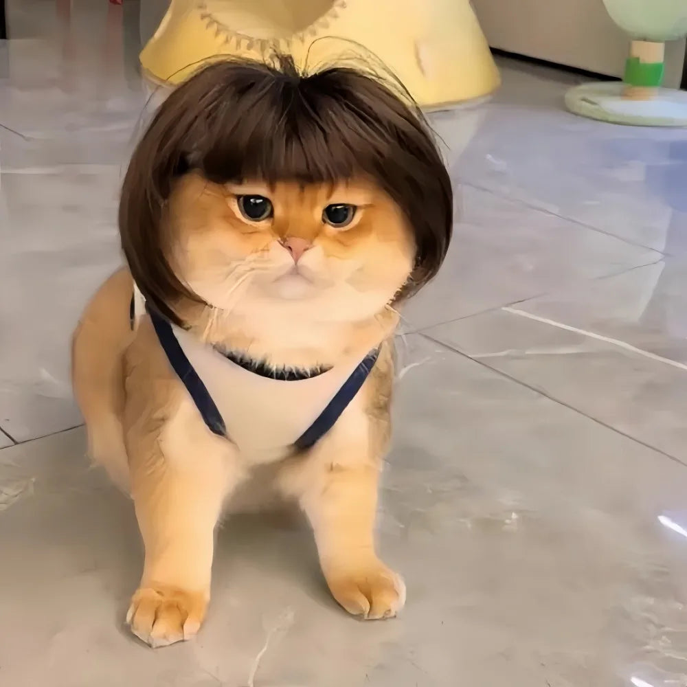 Pet Bob Wig – Funny Cat & Dog Costume Accessory