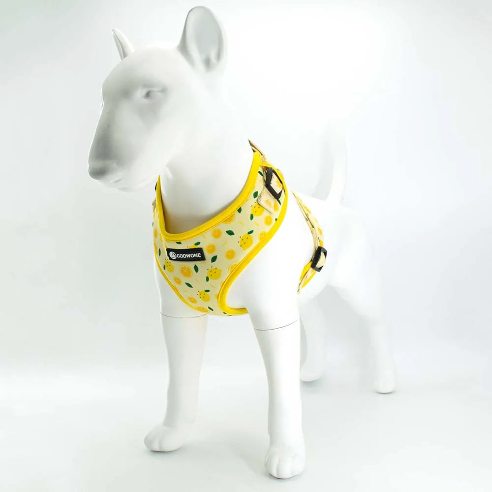 A white dog model wearing a yellow lemon print adjustable collar with black hardware.