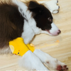 Dog Knee Pads with Elastic Leg Covers for Joint Protection