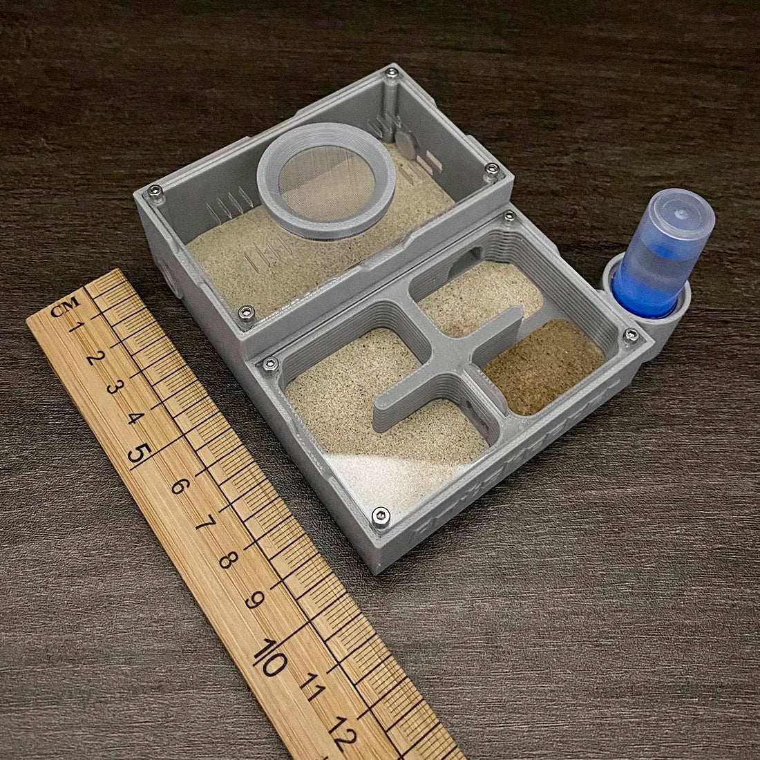 A gray four-chamber ant observation farm with a graduated ruler and a small blue liquid container.