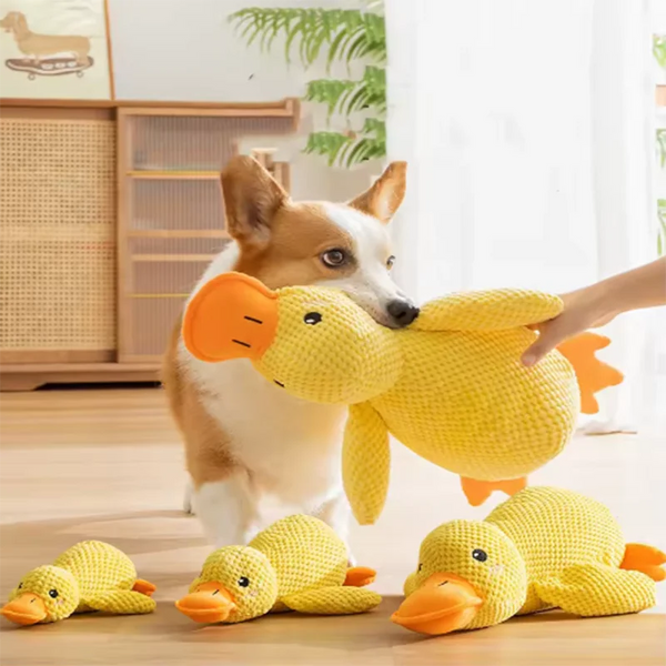 Jouet pour chien en peluche interactive : Canard