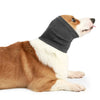 A brown and white dog wearing a gray fabric ear and neck muff for anxiety relief.