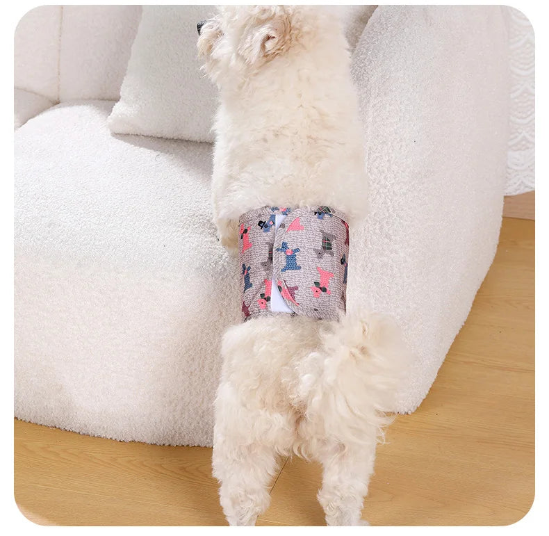 A light-colored dog wearing reusable sanitary pants with a patterned cover visible on its hindquarters.