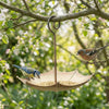 Umbrella-Shaped Hanging Bird Feeder with Leak-Resistant Design