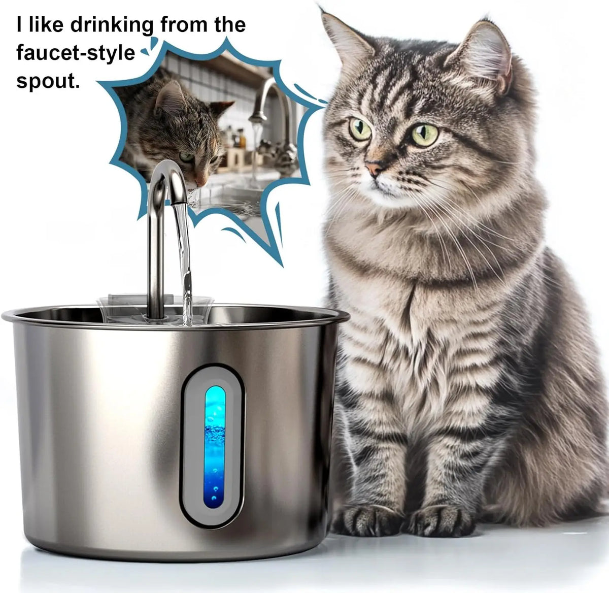 Un chat tigré regarde un bol de fontaine à eau automatique en acier inoxydable.