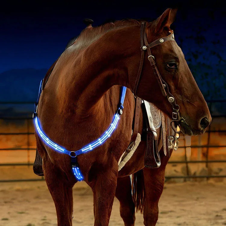 Nylon-LED-Halftergeschirr mit USB-Ladung