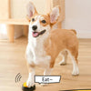 Recordable Pet Communication Button for Training and Play