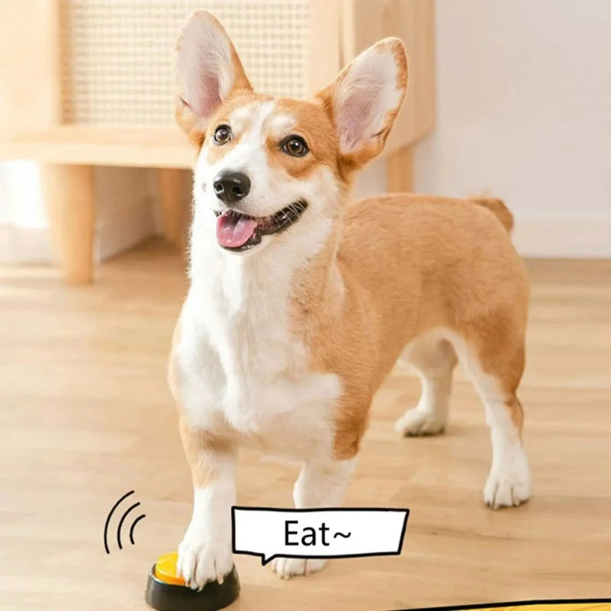 Recordable Pet Communication Button for Training and Play