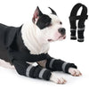 A white and black dog wearing an adjustable front leg brace with elbow support on its front legs.