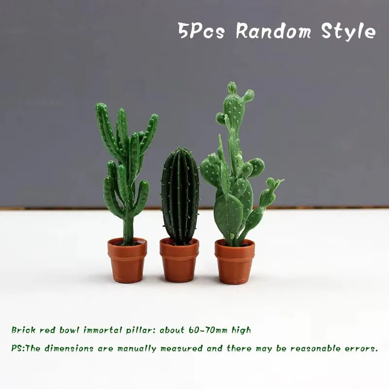 Five random style cactus plants in terracotta pots displayed against a gray background.