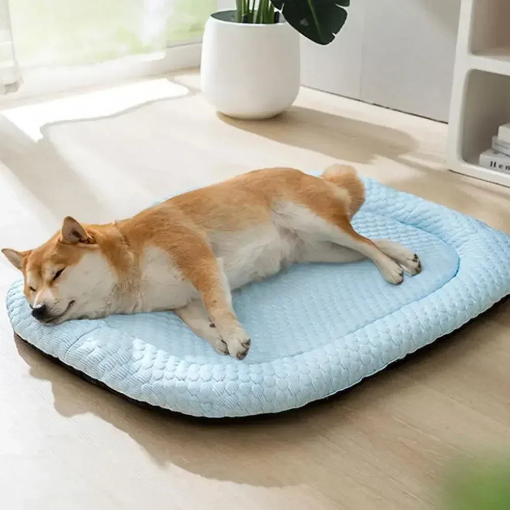An orange and white dog is relaxing on a light blue ice silk cooling pet bed indoors.