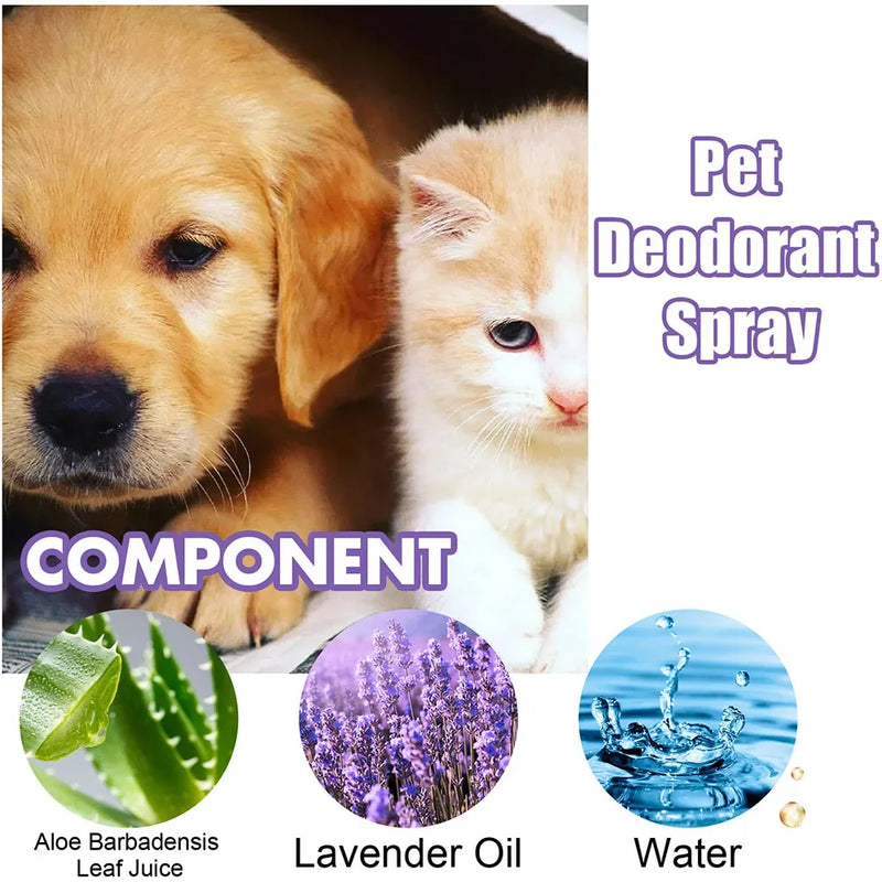 Lavender Oil Dog Deodorizer Spray