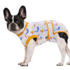 A black and white dog wearing a yellow patterned recovery suit.