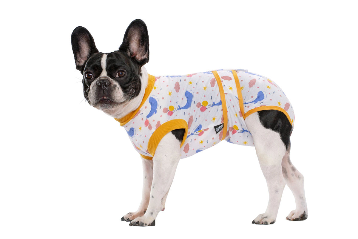 A black and white dog wearing a yellow patterned recovery suit.