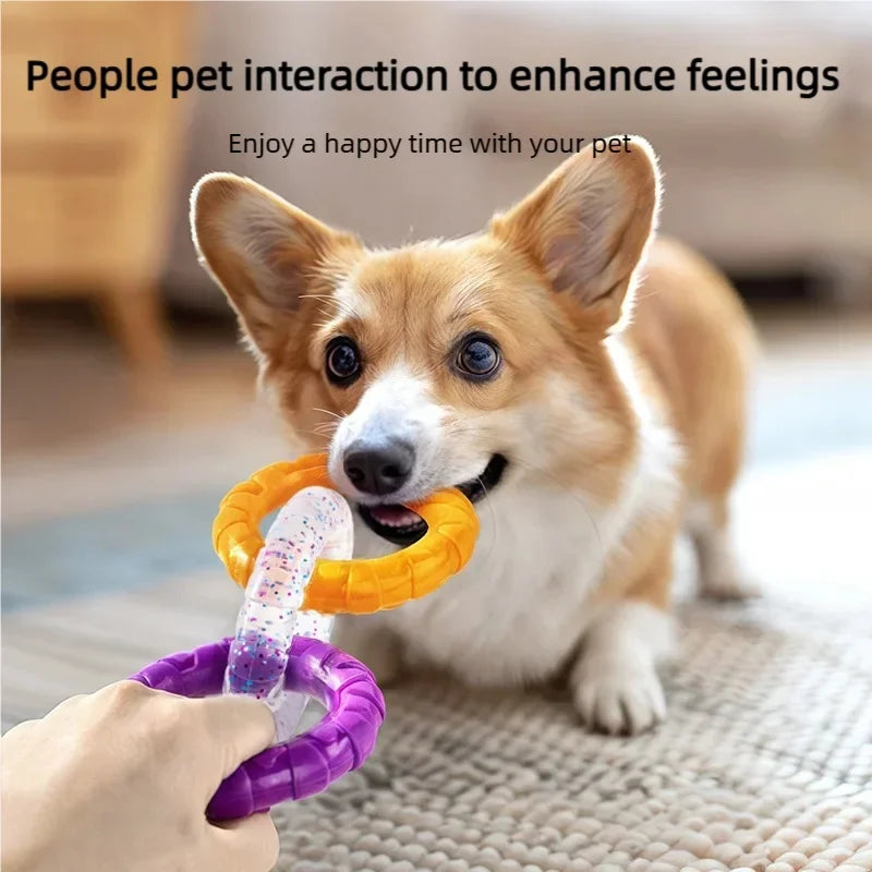 A small dog is interacting with an orange TPR pull ring toy being held by a person.