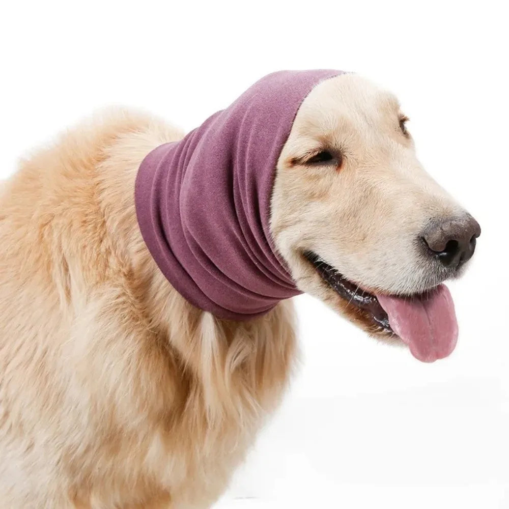 A light-colored dog wearing a purple soundproof ear muff for comfort and noise reduction.