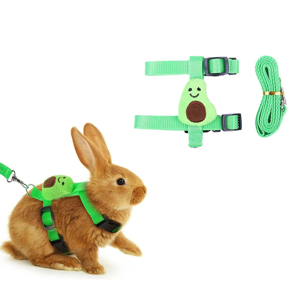 A brown rabbit wearing a green harness and attached to a green leash and collar set.
