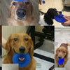 Bite-Resistant Squeaky Dog Chew Toy with Spiky Teething Ring