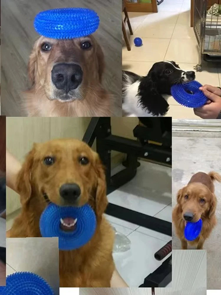 Bite-Resistant Squeaky Dog Chew Toy with Spiky Teething Ring