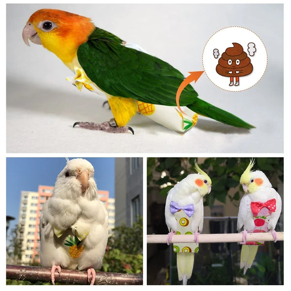 Parrot Diaper Flight Suit for Pet Birds