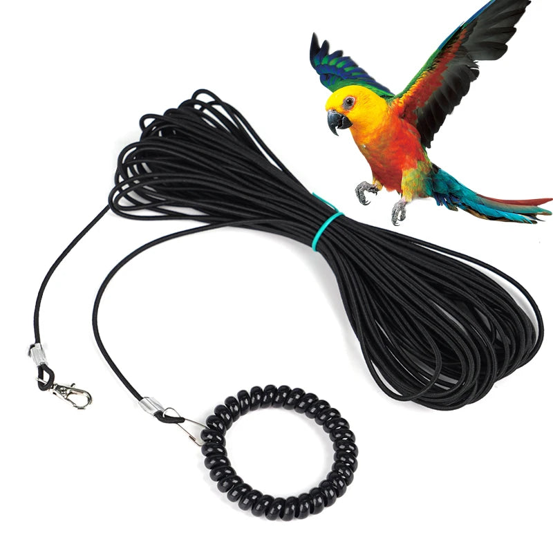 Bird Outdoor Training Harness Rope and Foot Chain