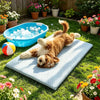 A fluffy golden dog lies on a blue ice bath in a grassy garden setting.
