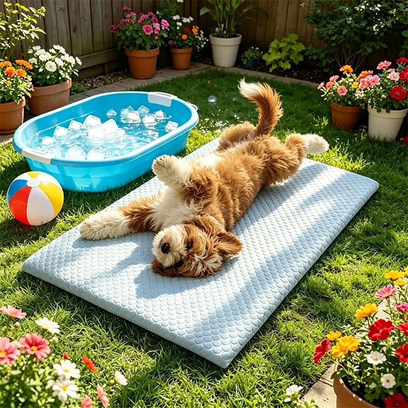 A fluffy golden dog lies on a blue ice bath in a grassy garden setting.