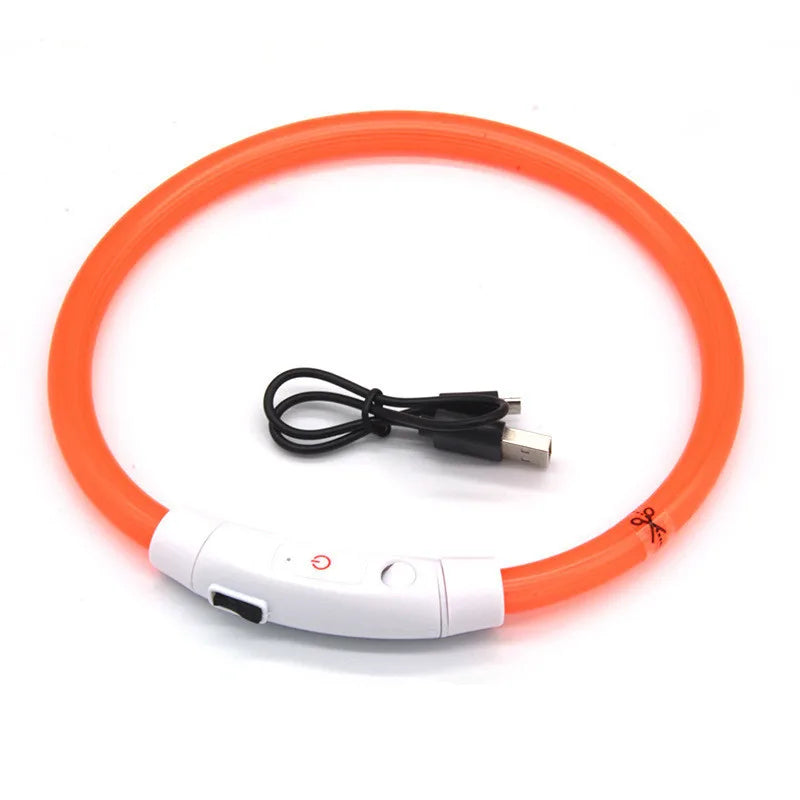 USB-wiederaufladbares LED-Haustier-Sicherheitsgeschirr