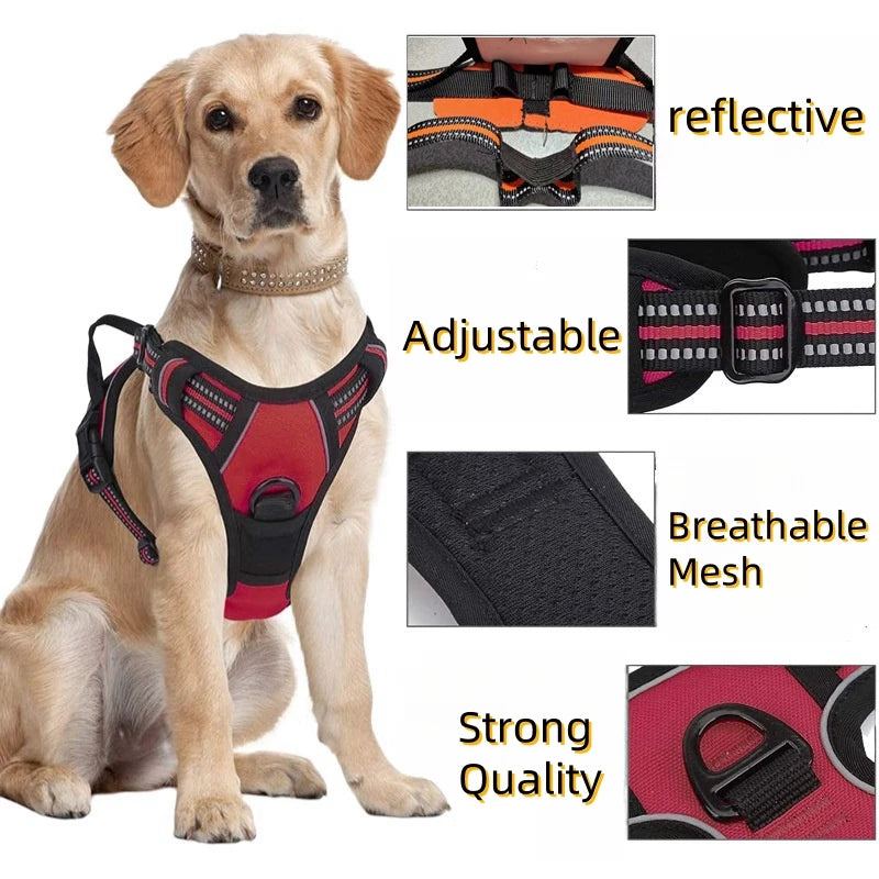 A tan dog wearing a black and red adjustable harness with a control handle, showing its reflective and breathable mesh featur